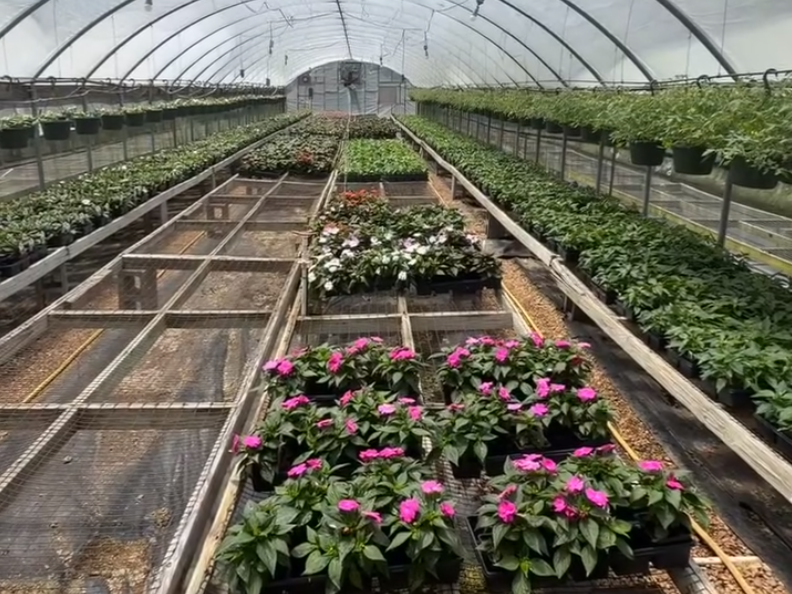 October Garden Newsletter: What to Plant, Fall Checklist & Photo Challenge